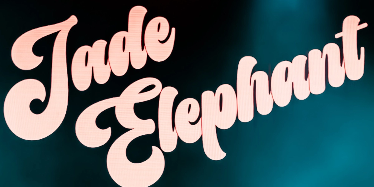 Event image for Jade Elephant & Midnight Channel at The Owl