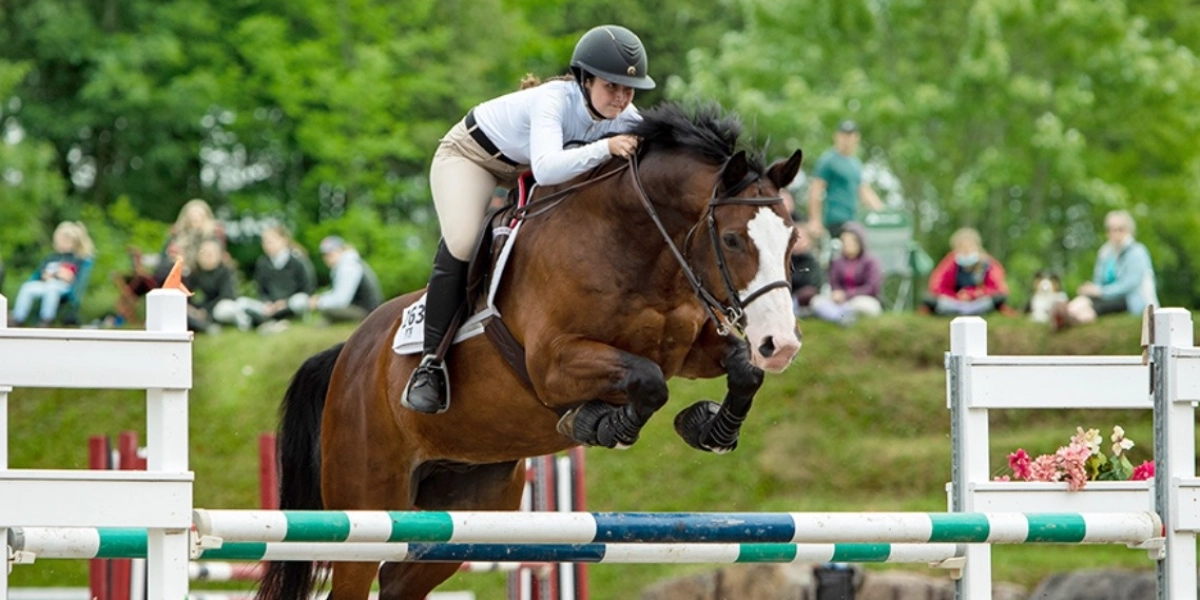 Event image for Concours d'été - Admission générale