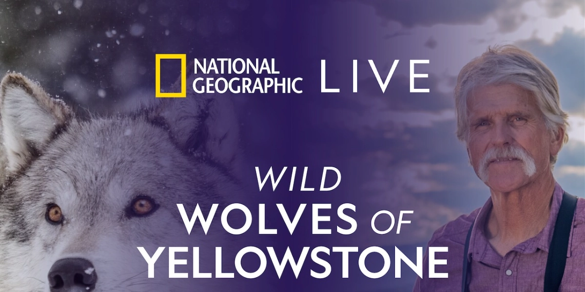 Event image for National Geographic LIVE Doug Smith: Wild Wolves of Yellowstone