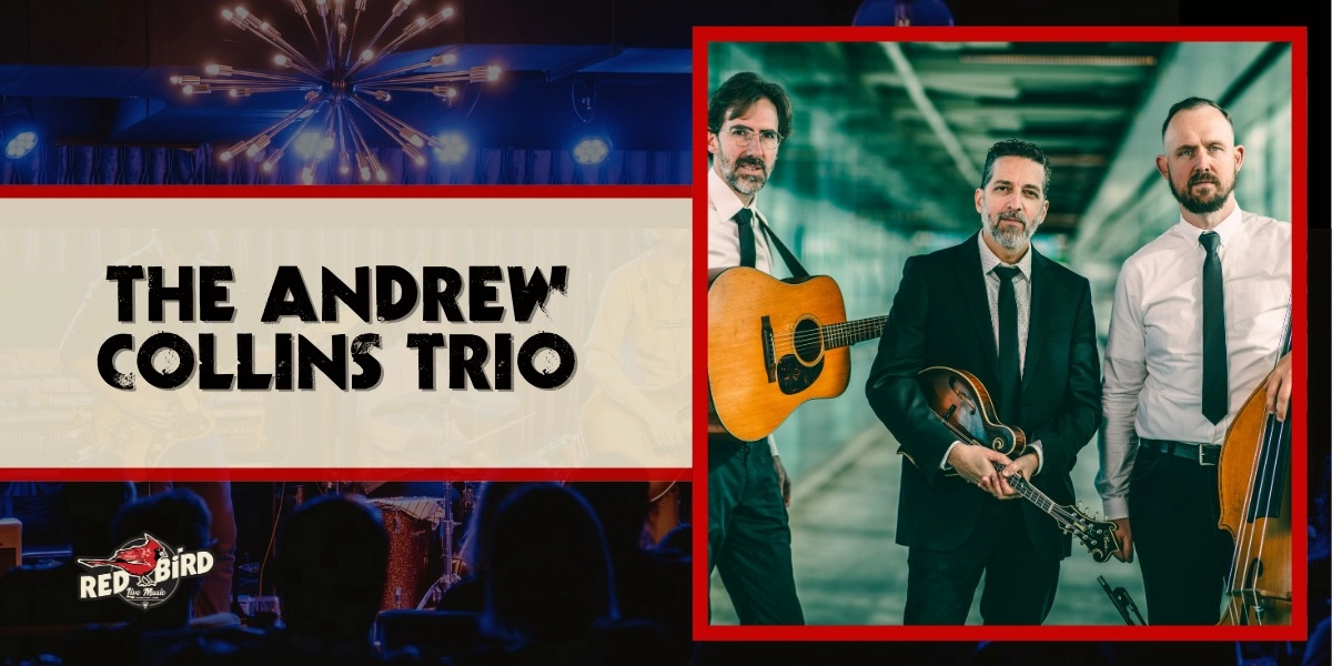 Event image for The Andrew Collins Trio