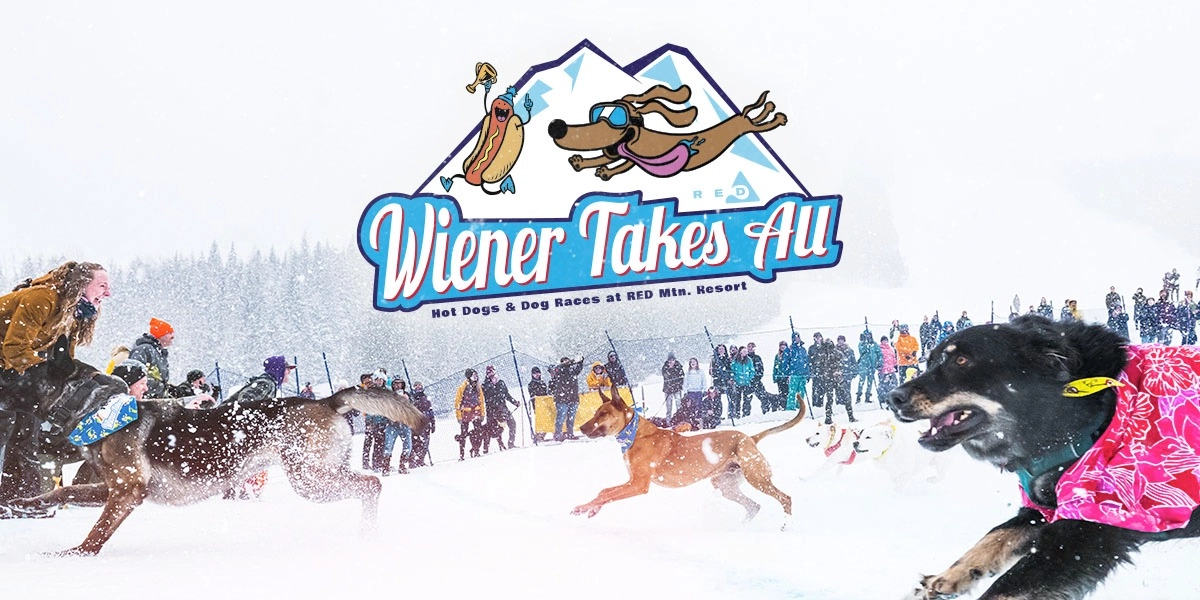 Event image for Wiener Takes All Dog Race