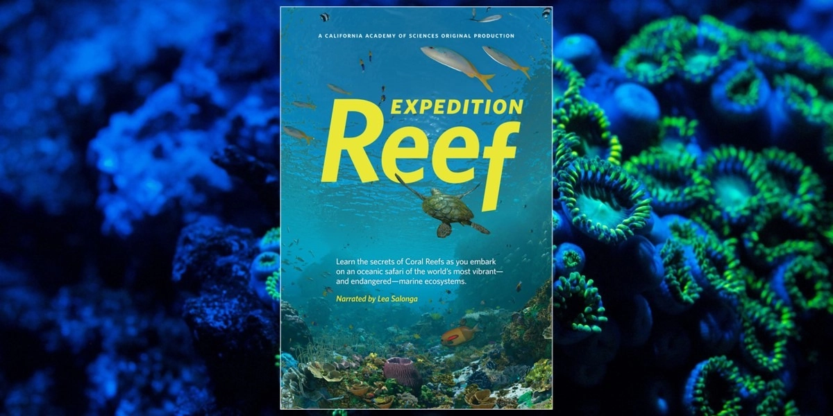 Event image for Expedition Reef