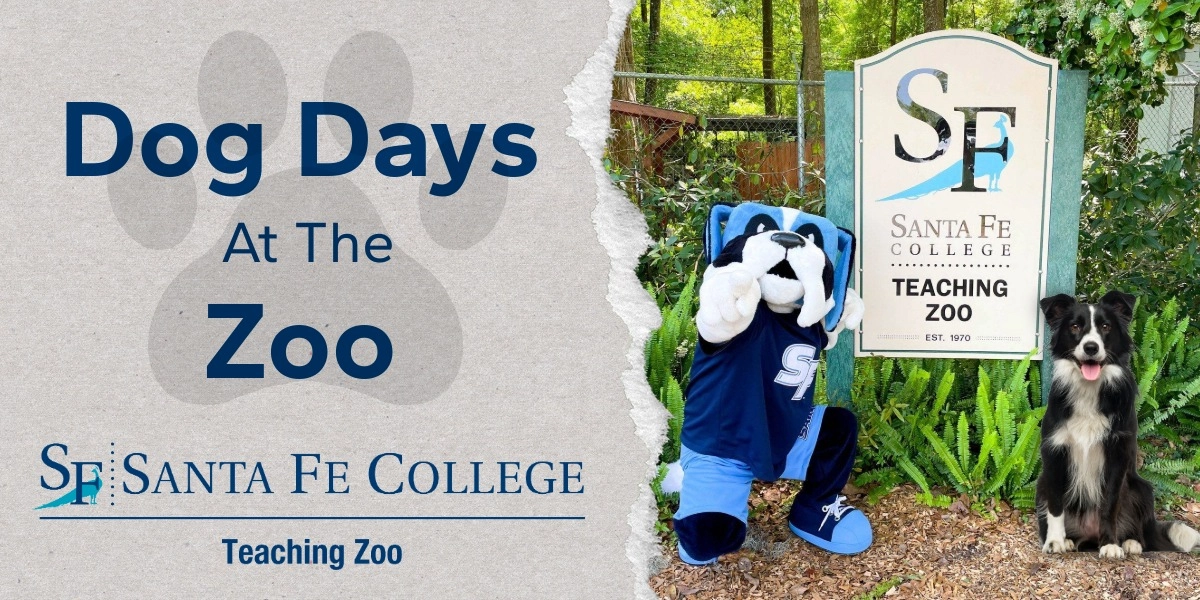 Event image for Dog Days at the Zoo (Test event)