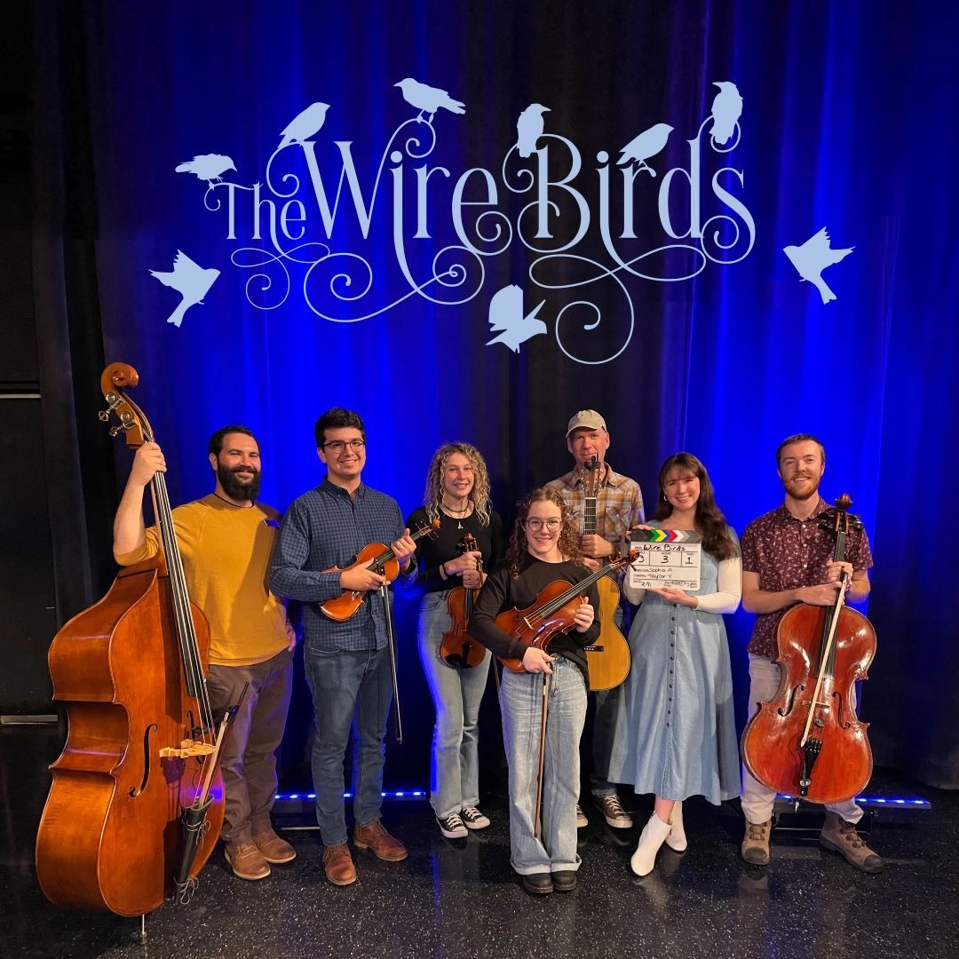 Event image for Visiting Artist  - The Wire Birds