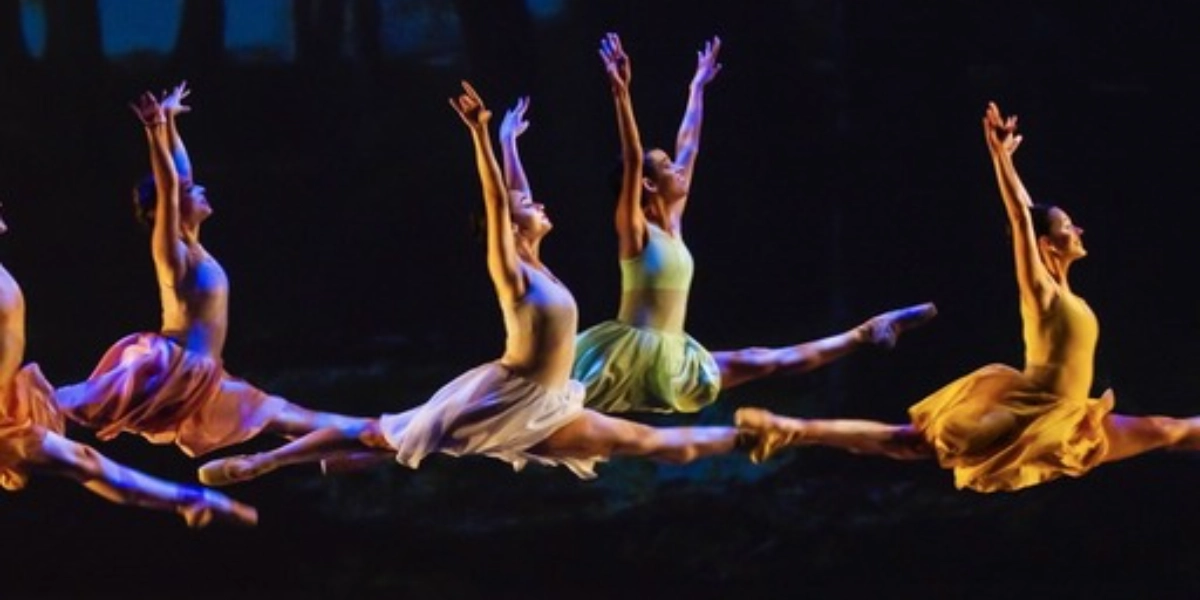 Event image for Dimensions Dance Theatre of Miami