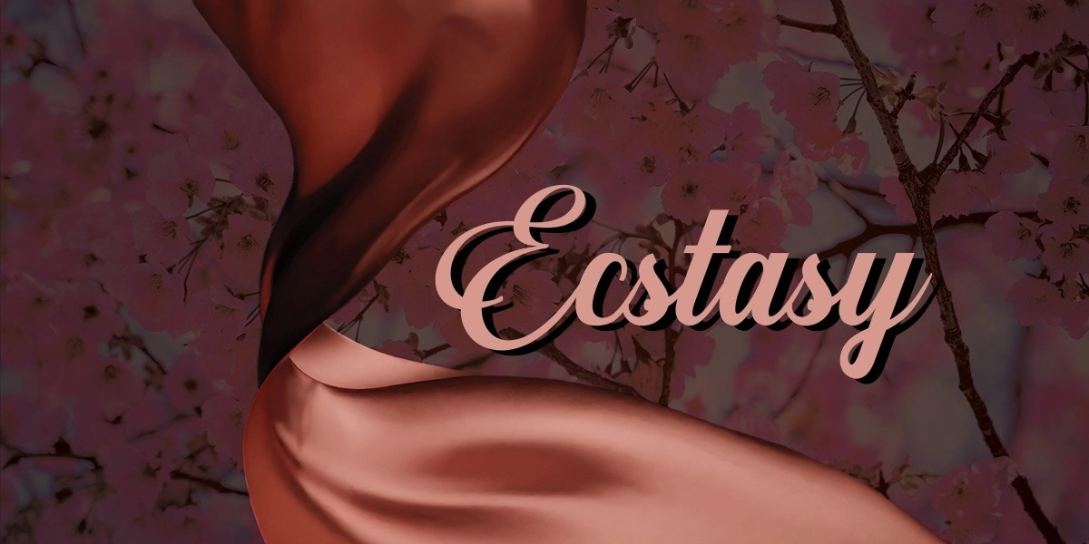 Event image for The Gainesville Orchestra January 16