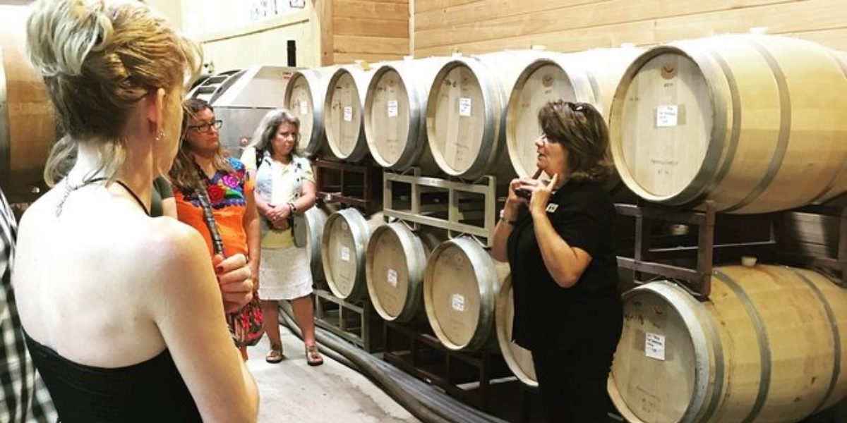 Event image for Taste of Fredericksburg Small-Group Wine Tour from San Antonio