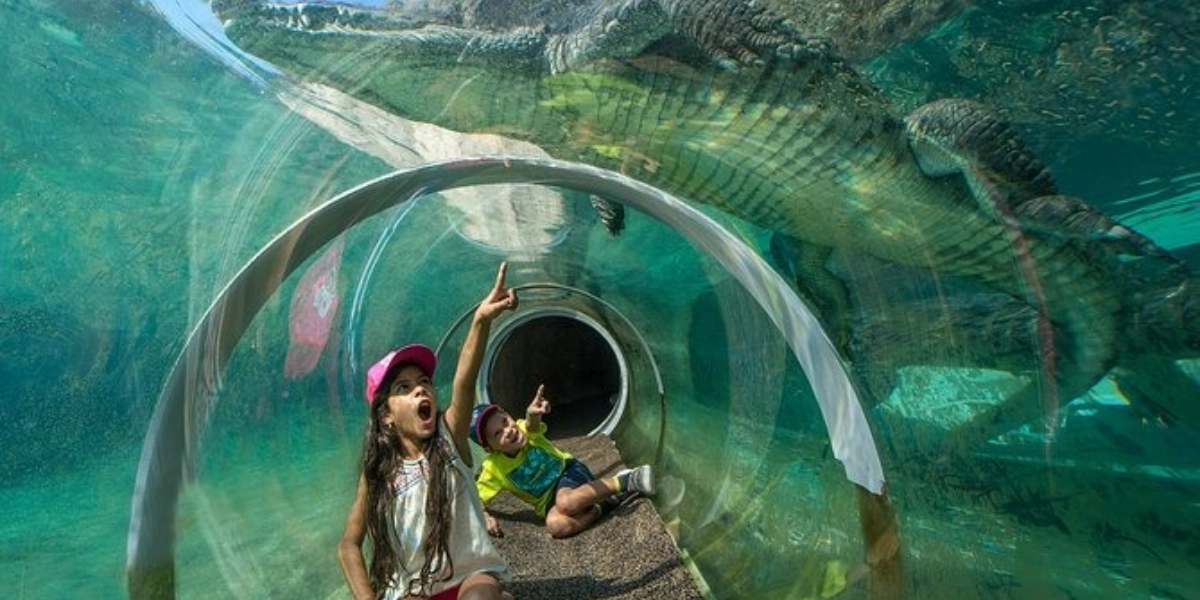 Event image for Zoo Miami Ticket with Optional Upgrade