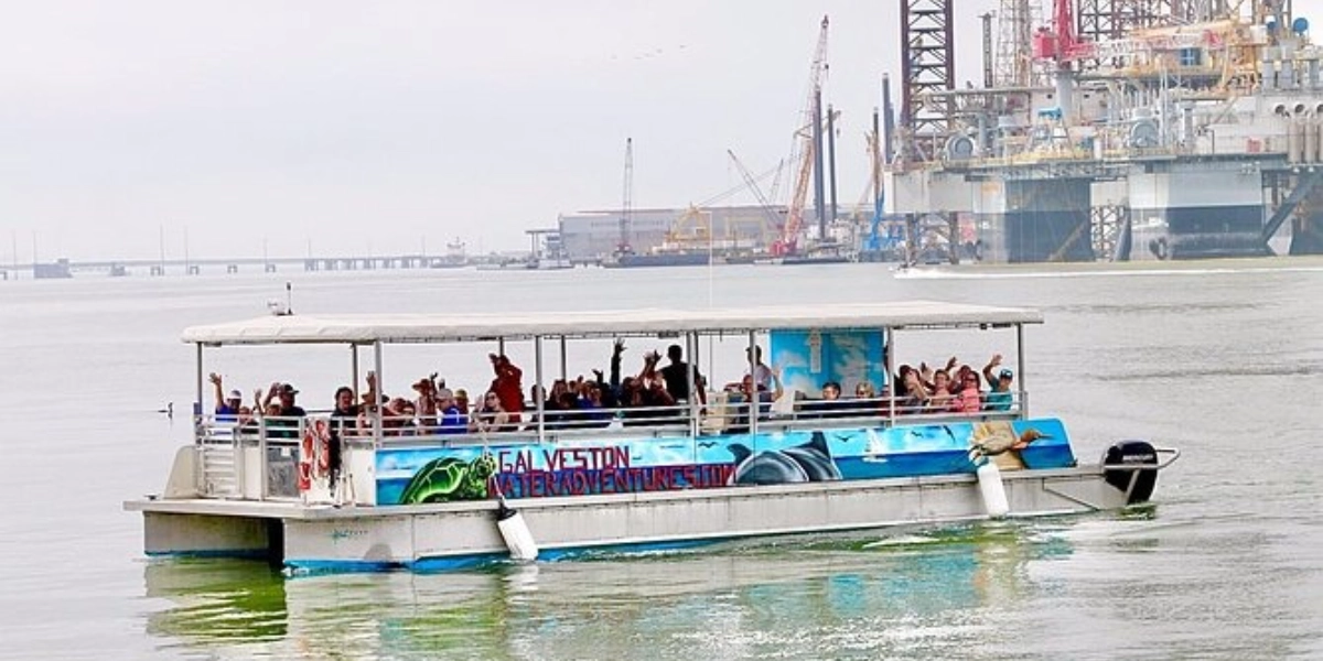Event image for Dolphin Sightseeing Tour with Guide