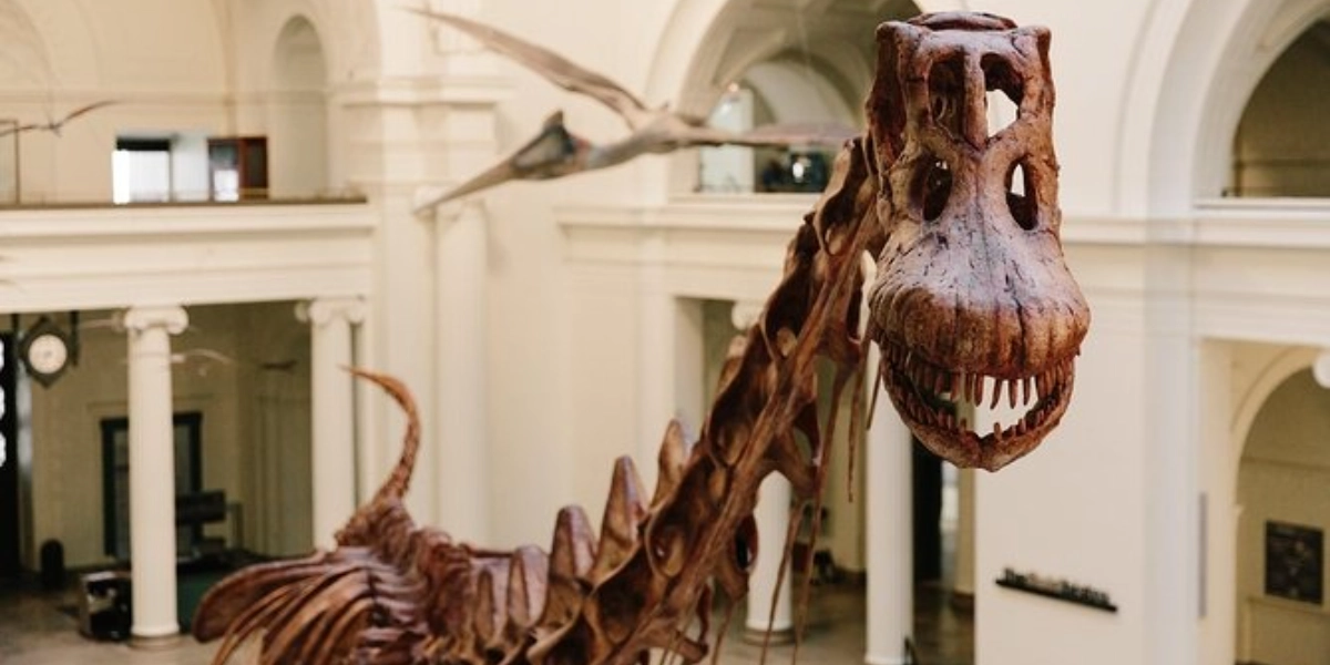 Event image for Field Museum of Natural History All-Access Pass