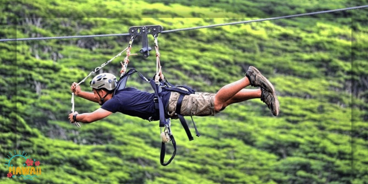Event image for Koloa Zipline in Kauai
