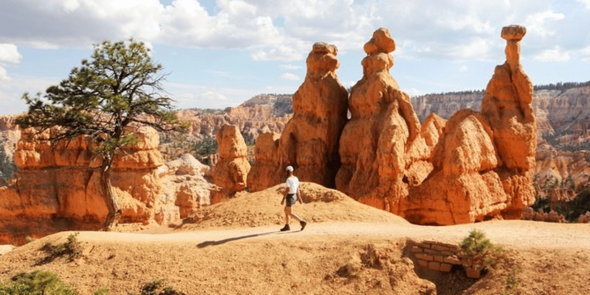 Event image for Bryce Canyon & Zion National Parks from Las Vegas with Lunch, WiFi