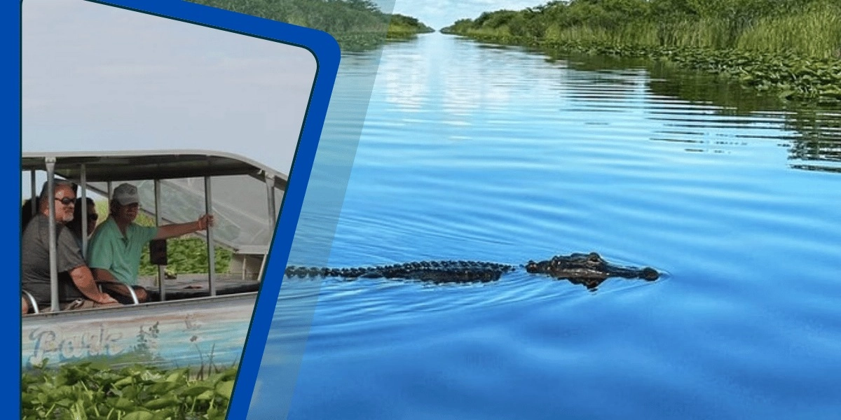 Event image for Everglades Tour from Miami with Transportation