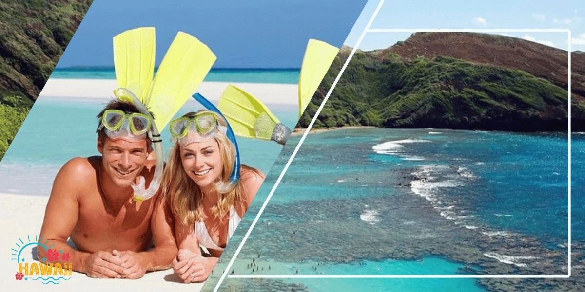 Event image for Hanauma Bay Snorkeling