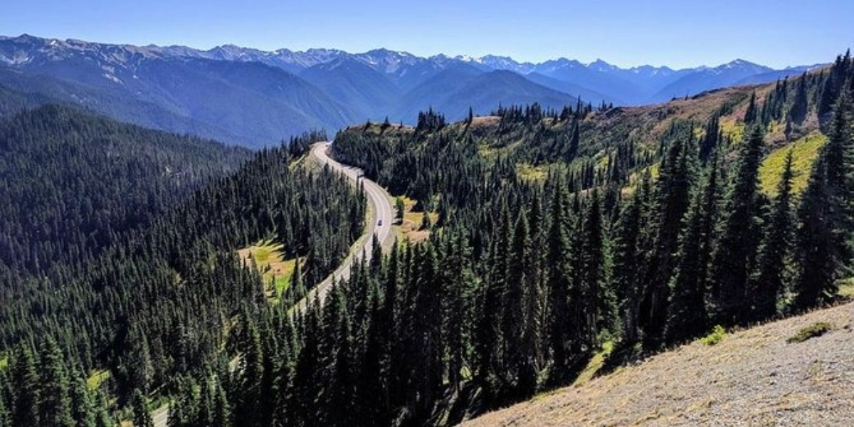 Image d'événement pour Olympic National Park Luxury Small-Group Day Tour with Lunch