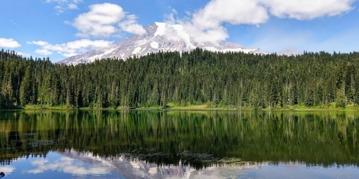 Image d'événement pour Mount Rainier National Park Luxury Small-Group Day Tour with Lunch