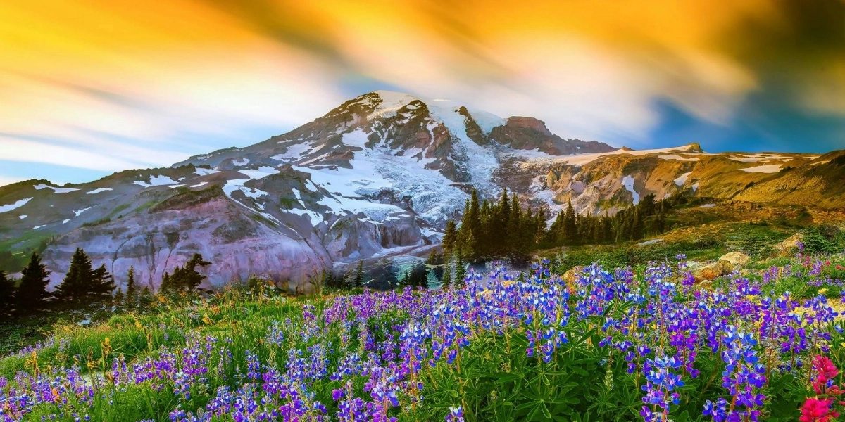 Event image for Mt. Rainier Day Tour from Seattle