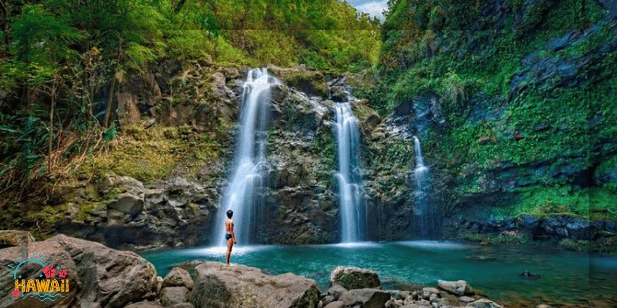 Famous Road to Hana Waterfalls and Lunch by Mercedes Van Various