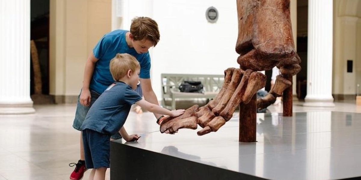 Event image for Field Museum of Natural History Admission Tickets