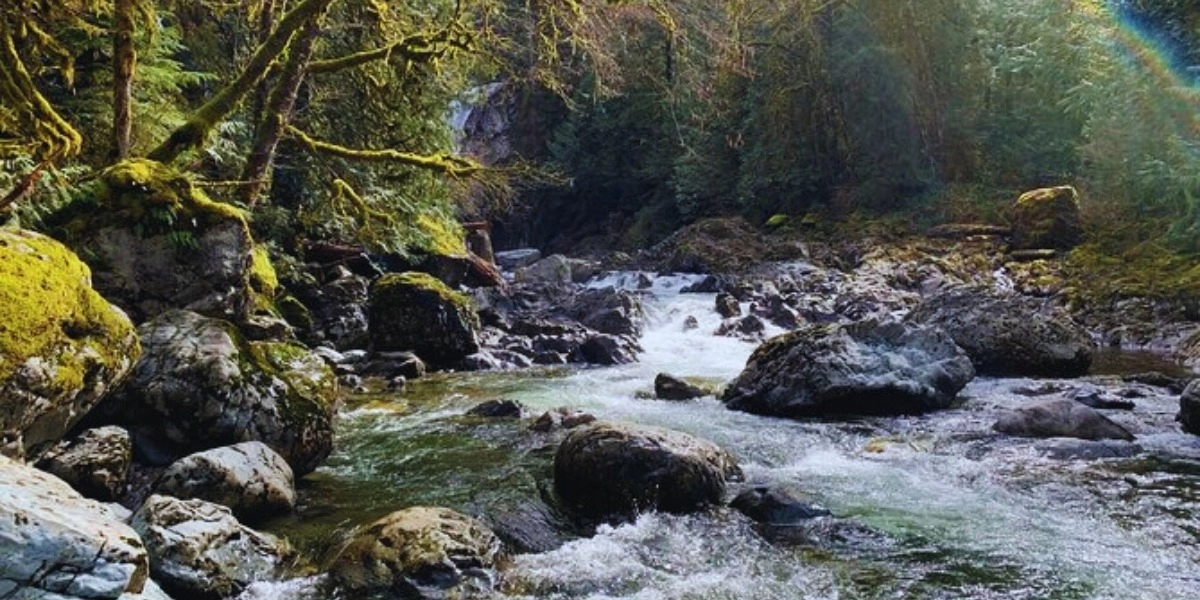 Event image for Guided forest hike to Seattle waterfalls incl. Snoqualmie Falls