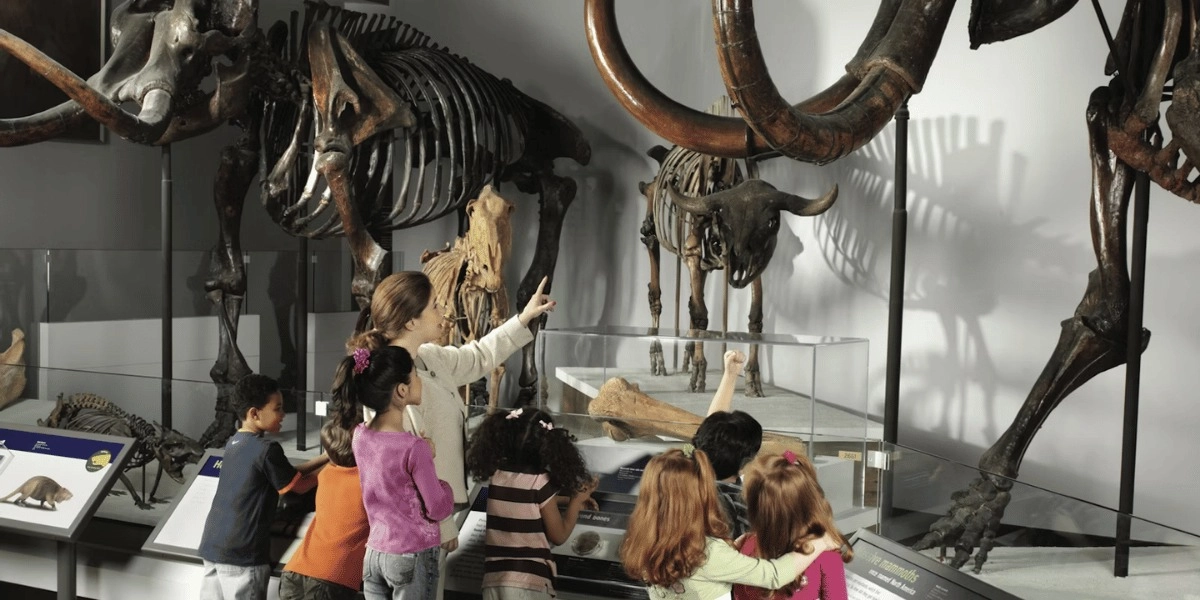 Event image for The Field Museum of Natural History: Entry Ticket