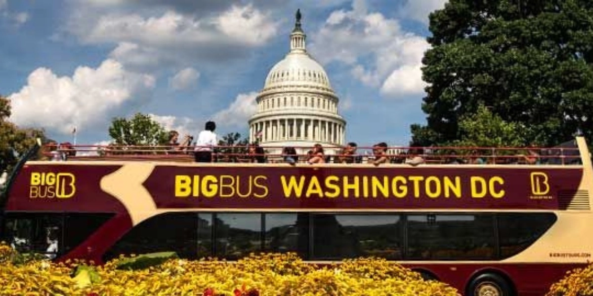 Event image for Hop-on Hop-off Bus Washington, D.C.