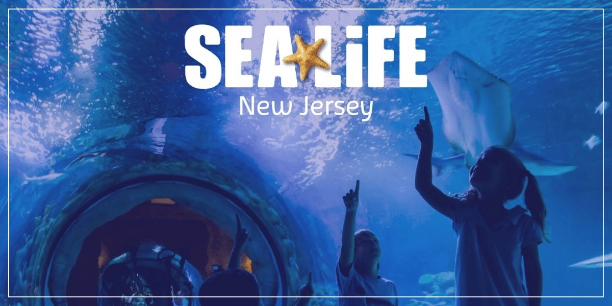 Event image for SEA LIFE Aquarium at American Dream: General Admission