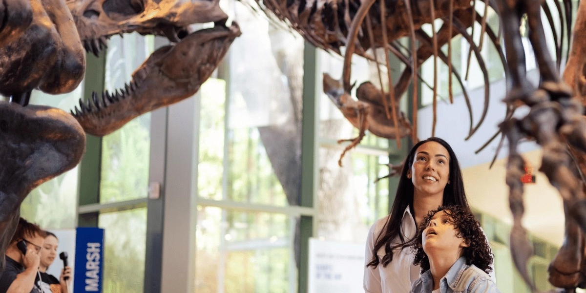 Event image for Witte Museum: Entry Ticket