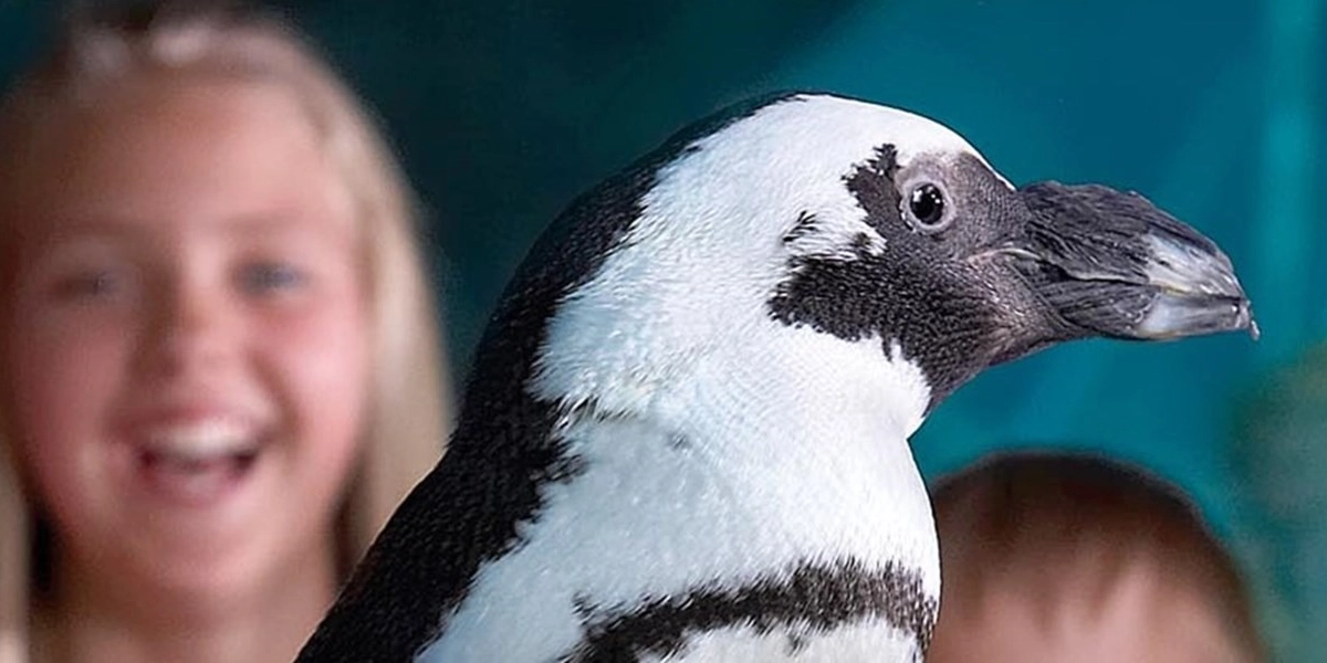 Event image for Marine Life