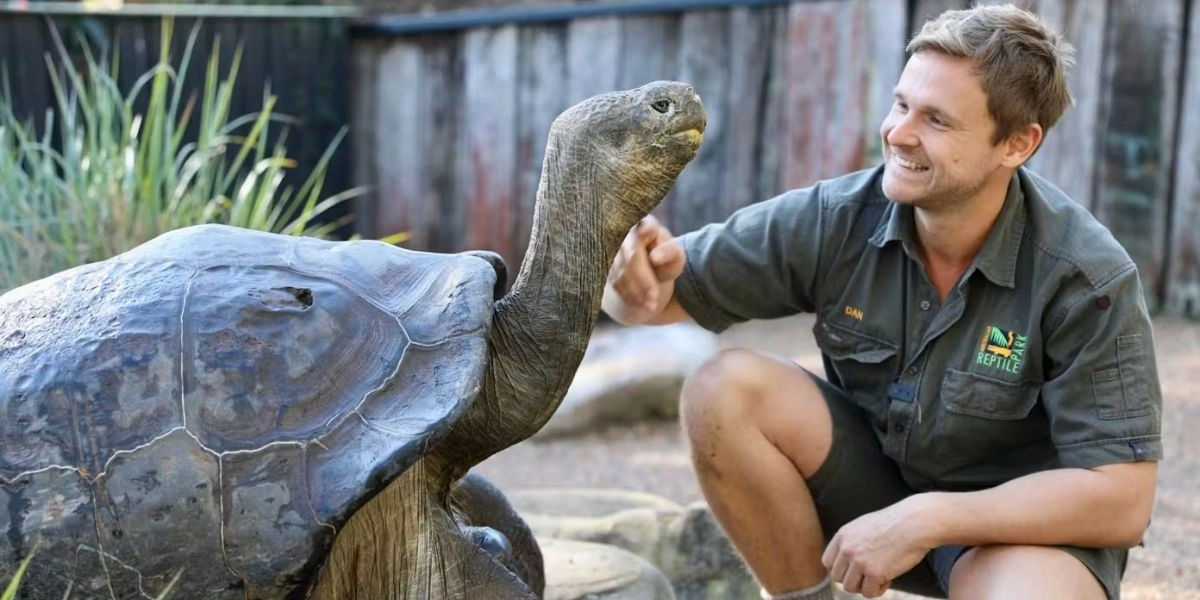 Event image for Australian Reptile Park: Entry Ticket