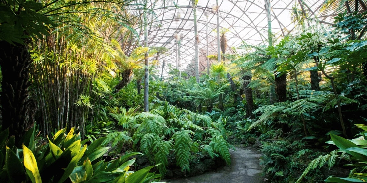 Event image for Rippon Lea Estate: Entry ticket