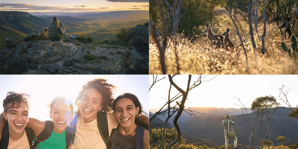 Event image for Intimate Blue Mountains Wild Kangaroos & Sunset for Nature Lovers
