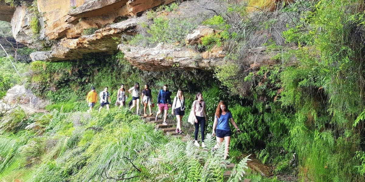 Event image for Blue Mountains Small Group tour with Waterfall Walk & Fresh Lunch