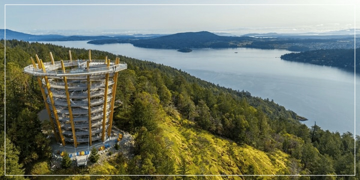 Event image for Malahat SkyWalk General Admission Tickets