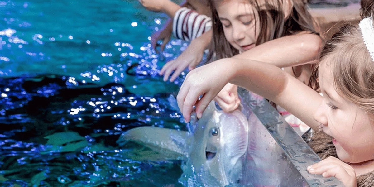 Event image for San Antonio Aquarium