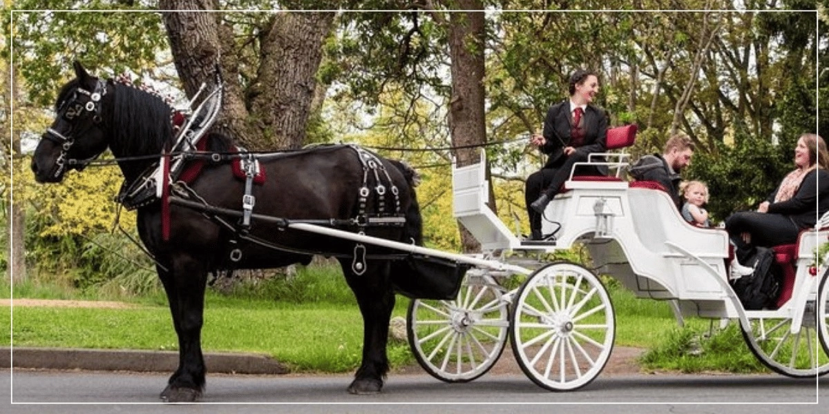 Event image for 45-Minute By The Park Tour