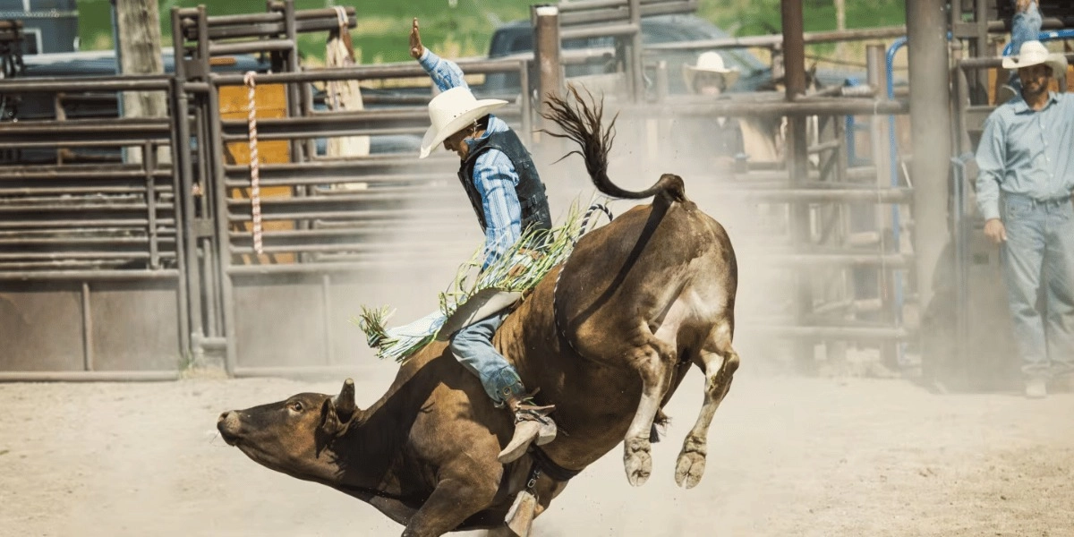 Event image for PBR Medicine Hat Classic - Co-op Place
