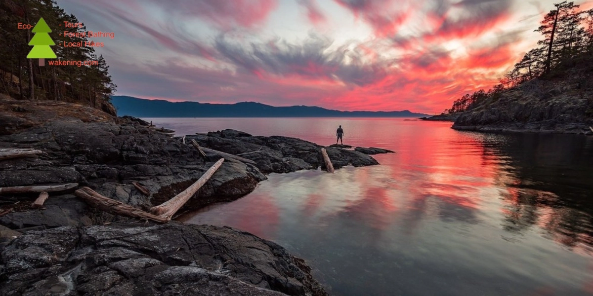 Event image for Ancient Forest, Waterfalls and Stunning Vistas Tour