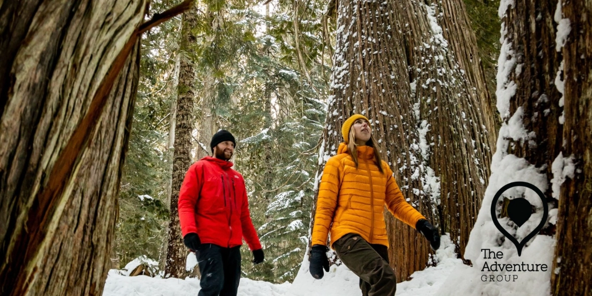 Event image for Ancient Cedars Snowshoe Adventure Pass