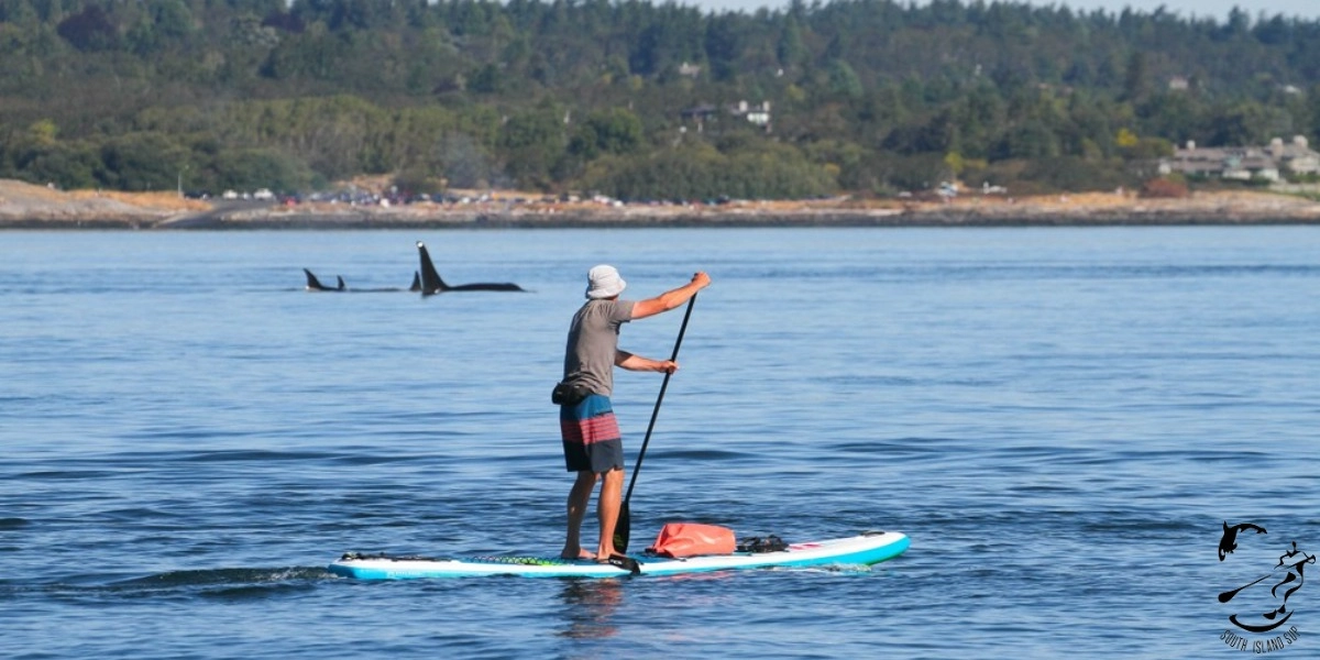 Event image for Willows Beach Paddleboard Rental - Victoria, BC