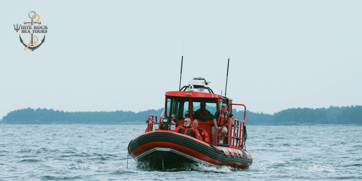 Event image for Harbour Cruise