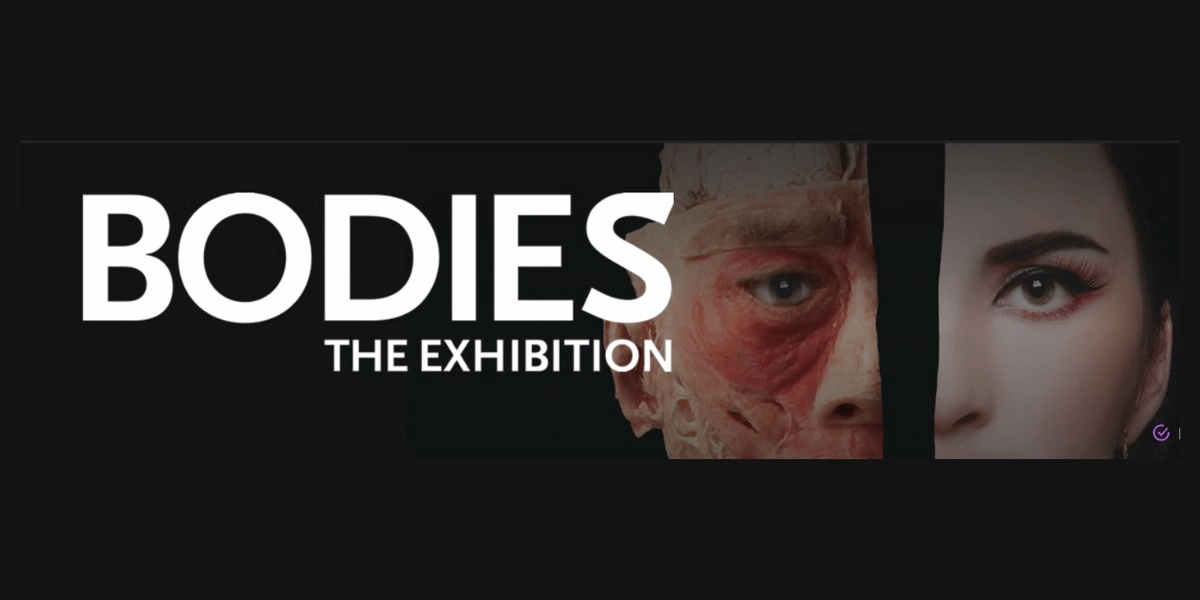 Event image for Bodies The Exhibition Las Vegas