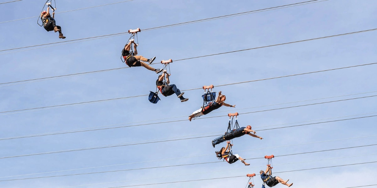 Event image for Fly LINQ Zipline