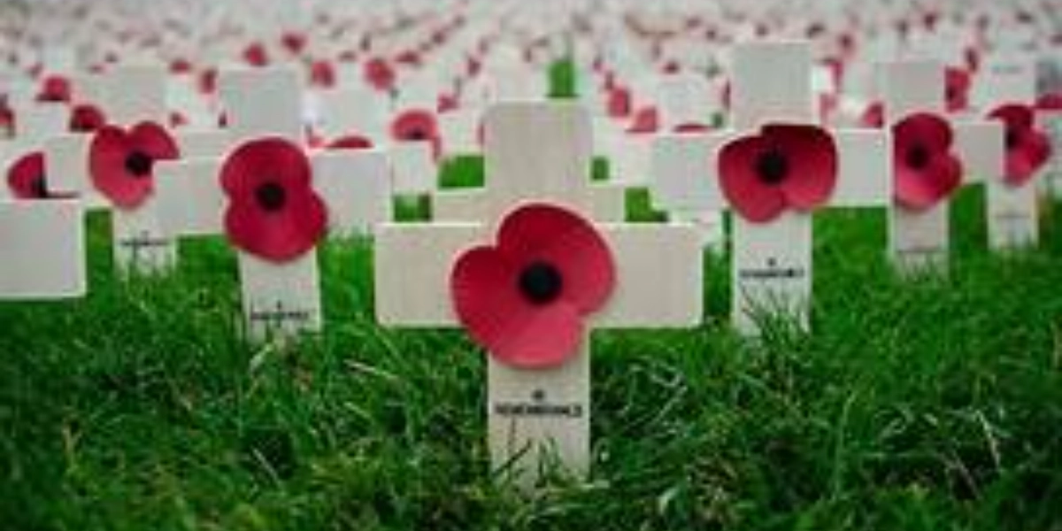Event image for Sponsor a cross for Remembrance Day