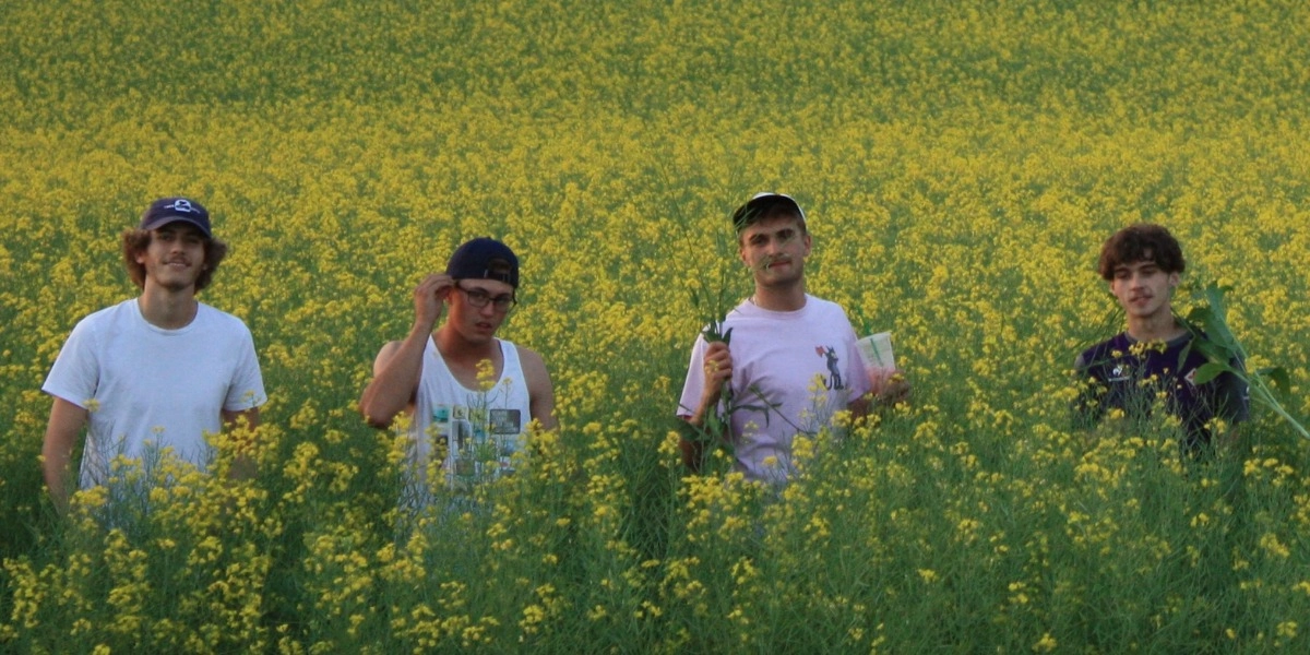 Event image for Sled Island and The Gauntlet present: Sea of Lettuce, Pearly Moon, cistern and more