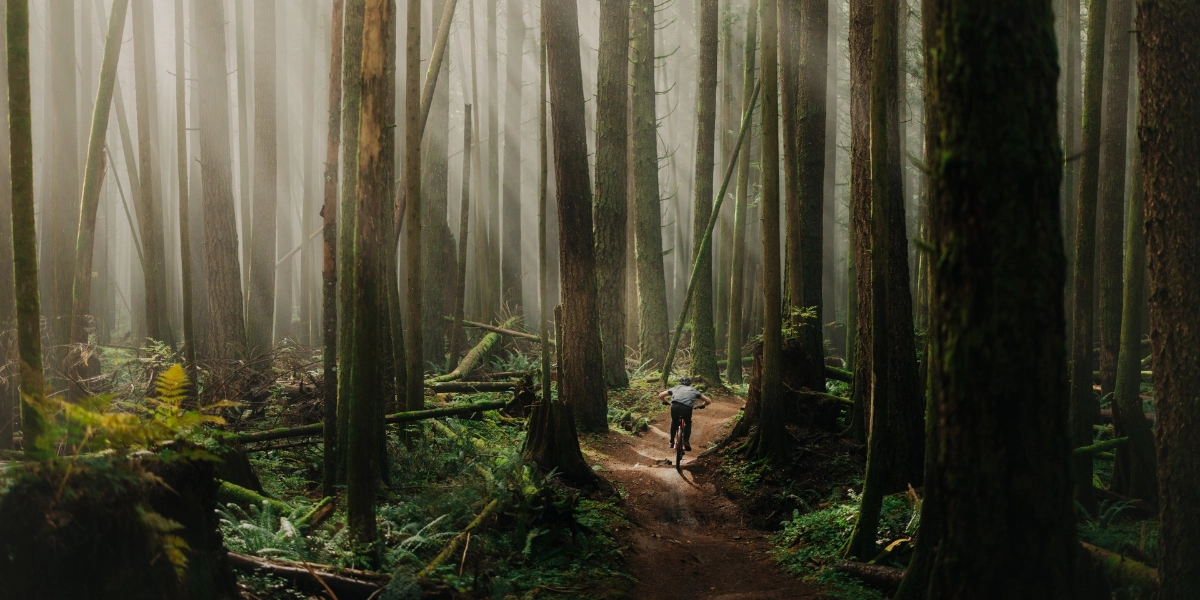 Event image for IP Basics for Outdoor Businesses