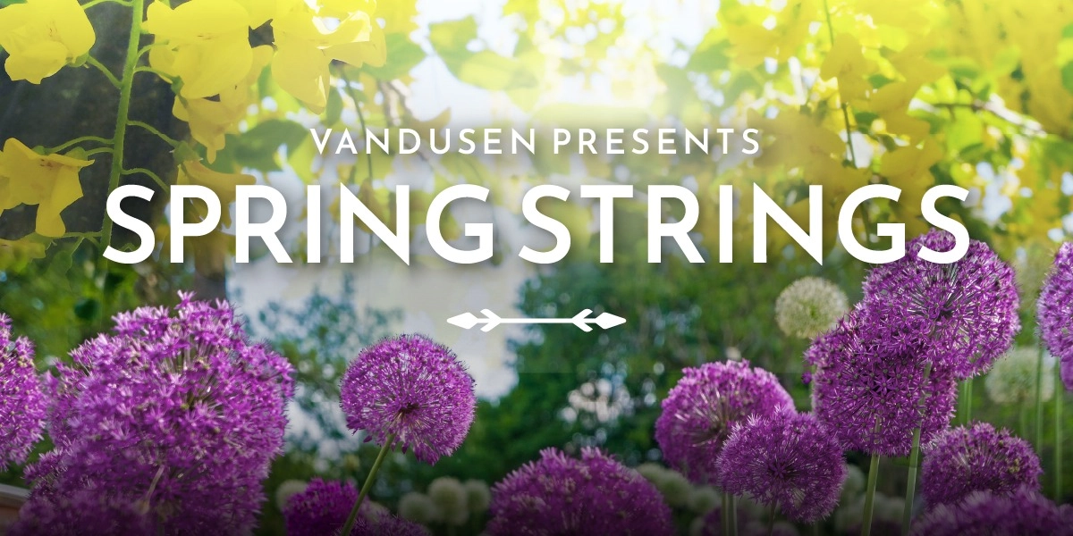 Event image for VanDusen Garden Presents: Spring Strings