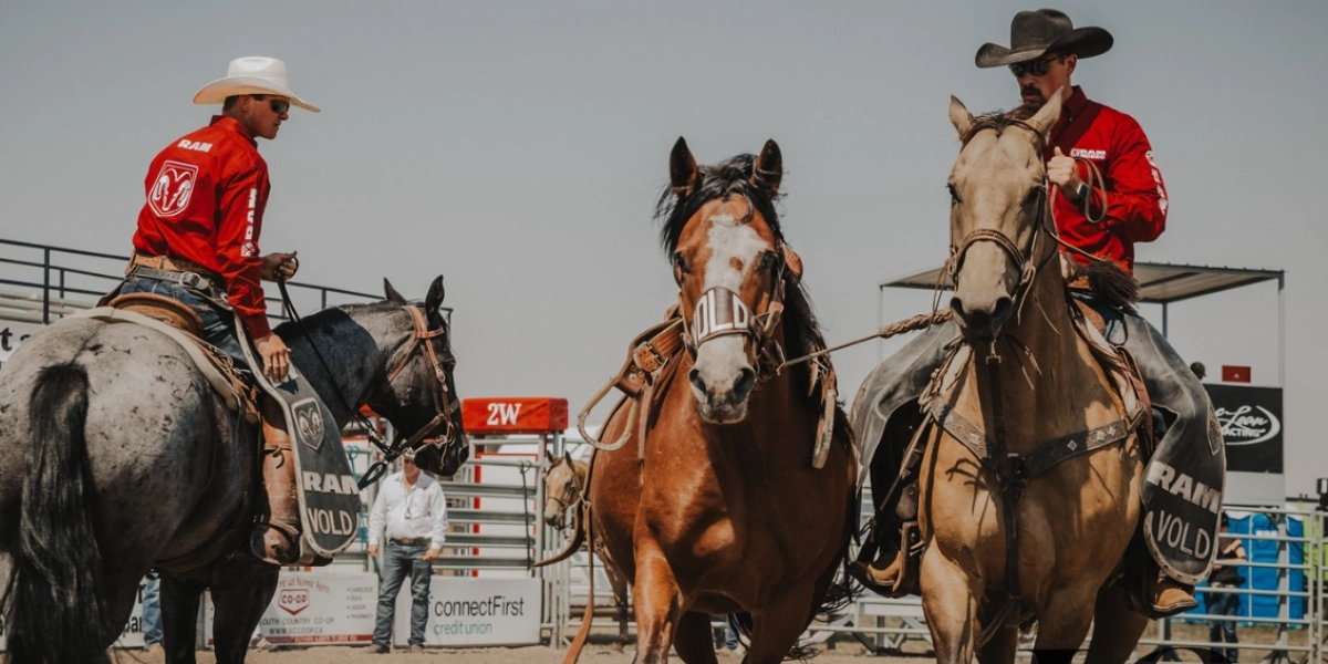 Event image for Stavely Pro Rodeo