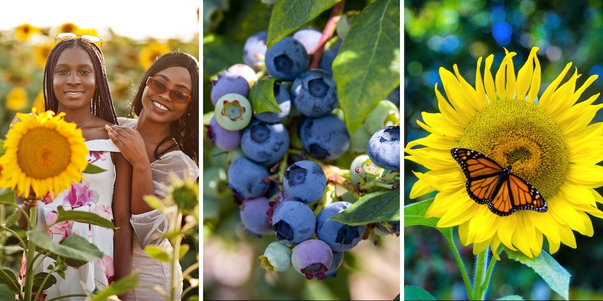 Event image for 2021 Berries & Blooms