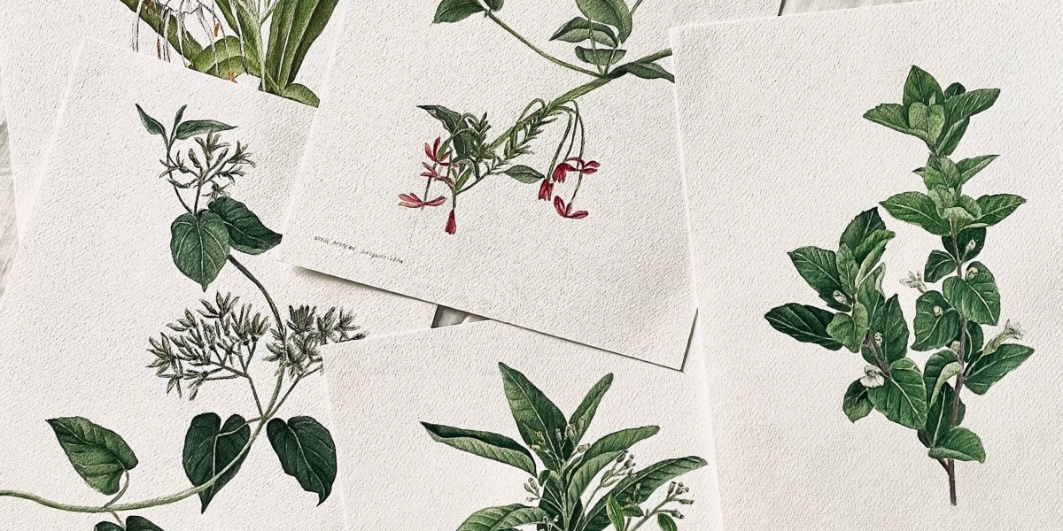 Image d'événement pour PLANTS & PALETTES